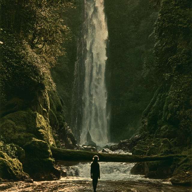 La Jungle Sonore